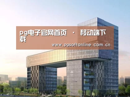 案例展示四
