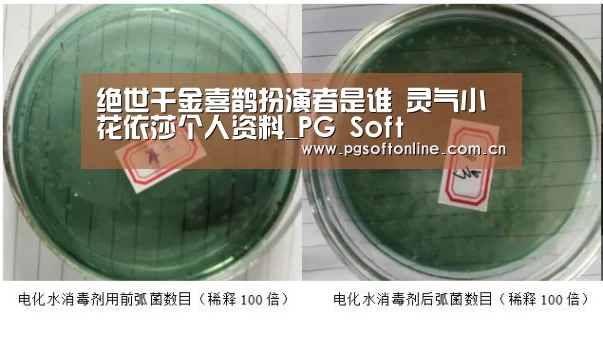 pg电子