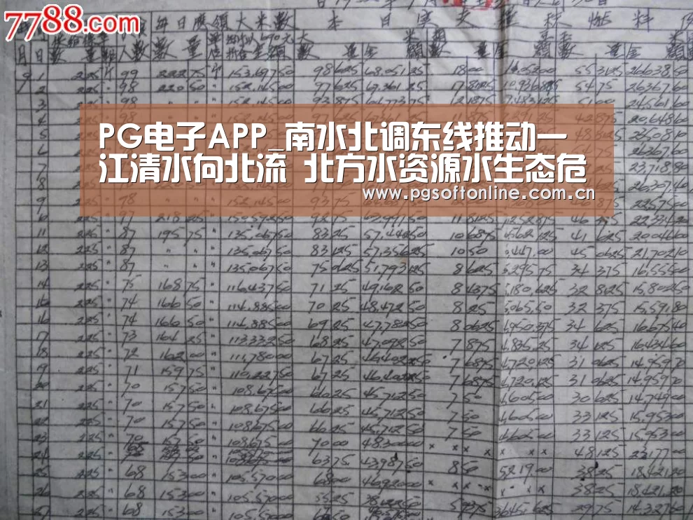 pg电子试玩