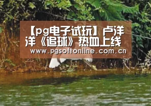 【pg电子试玩】卢洋洋《追球》热血上线 小屏幕大荧幕精彩纷呈(图3) PG电子APP