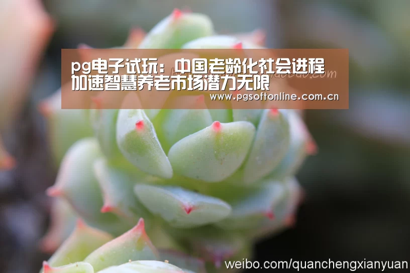 pg电子试玩:中国老龄化社会进程加速智慧养老市场潜力无限(图1) PG电子APP