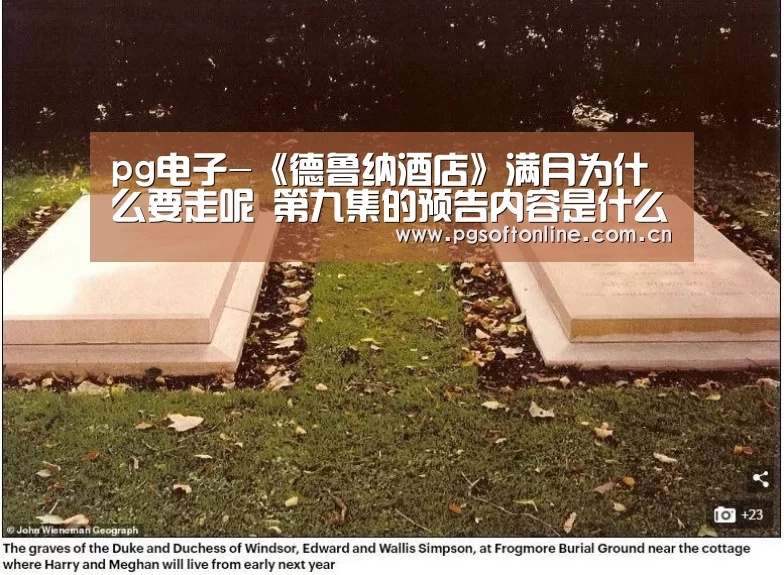 pg电子-《德鲁纳酒店》满月为什么要走呢 第九集的预告内容是什么(图2) pg电子