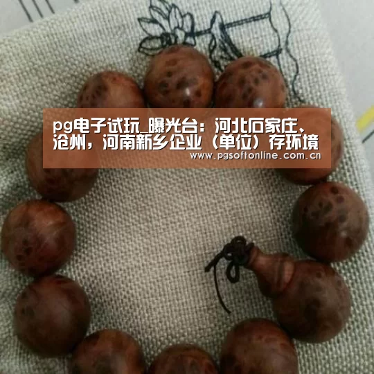 pg电子试玩_曝光台:河北石家庄、沧州,河南新乡企业(单位)存环境问题(图4) pg电子