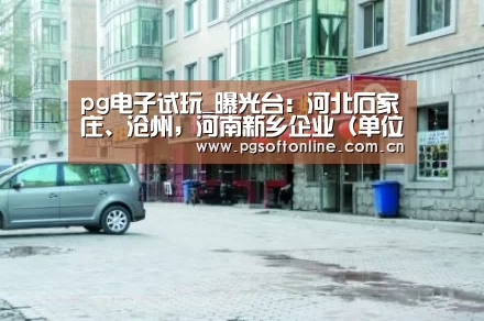 pg电子试玩_曝光台:河北石家庄、沧州,河南新乡企业(单位)存环境问题(图3) pg电子